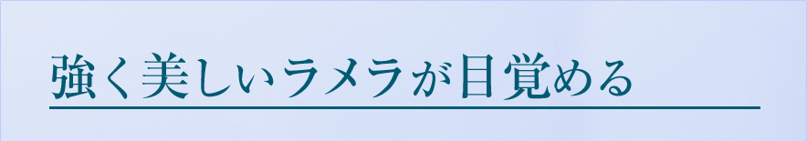 強く美しいラメラが目覚める