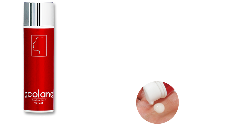 エコレーヌ パーフェクション ベルベット